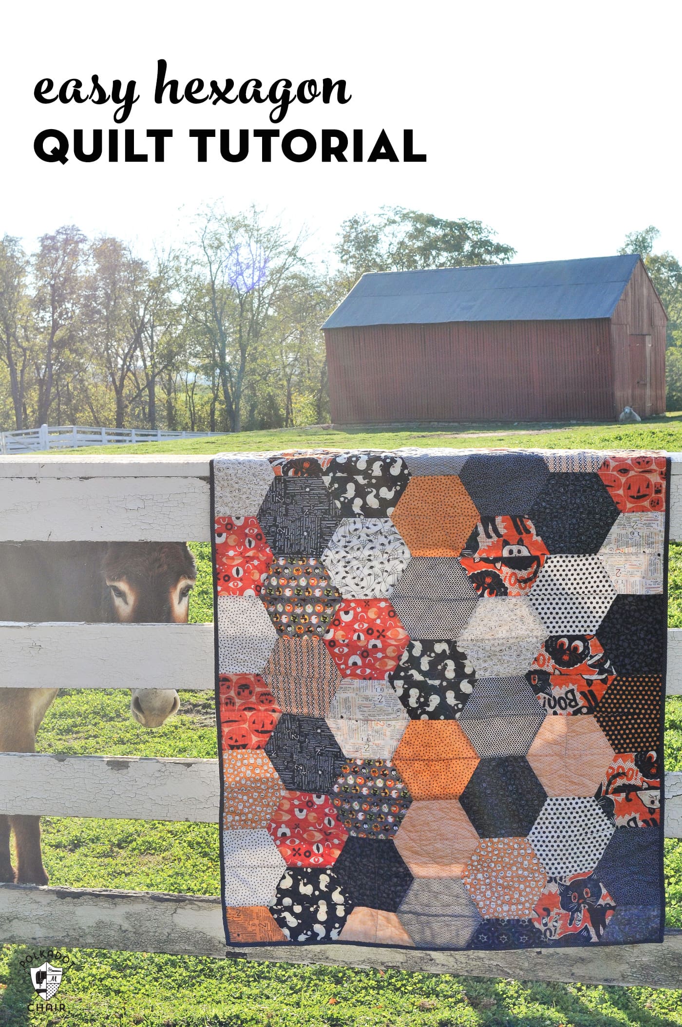 hexagon quilt in autumn colors in front of barn
