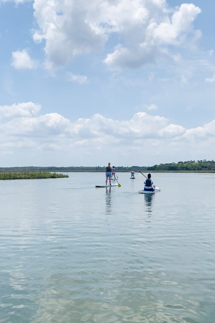 4 people on paddleboards in water